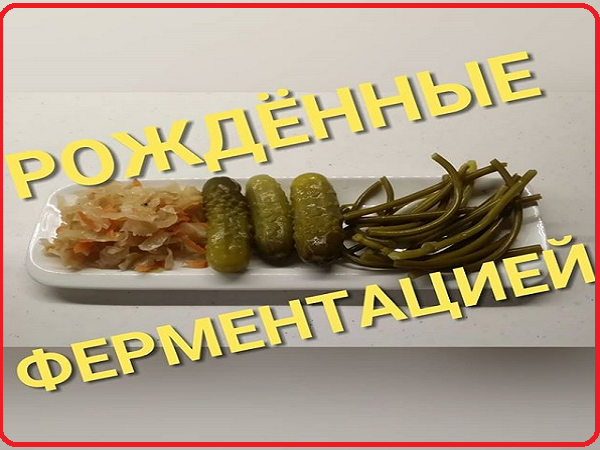Ферментированные продукты