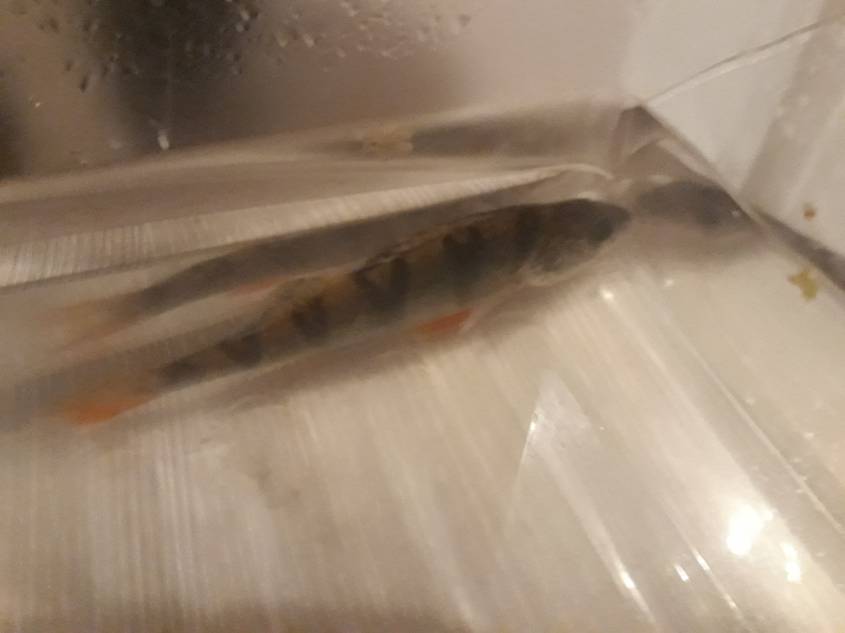 очень плавуч!