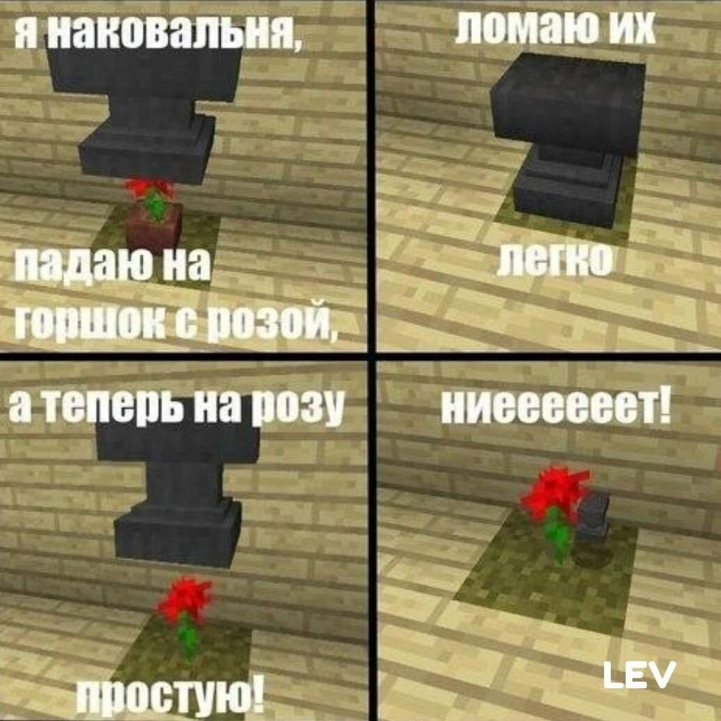 Роза-силач)))