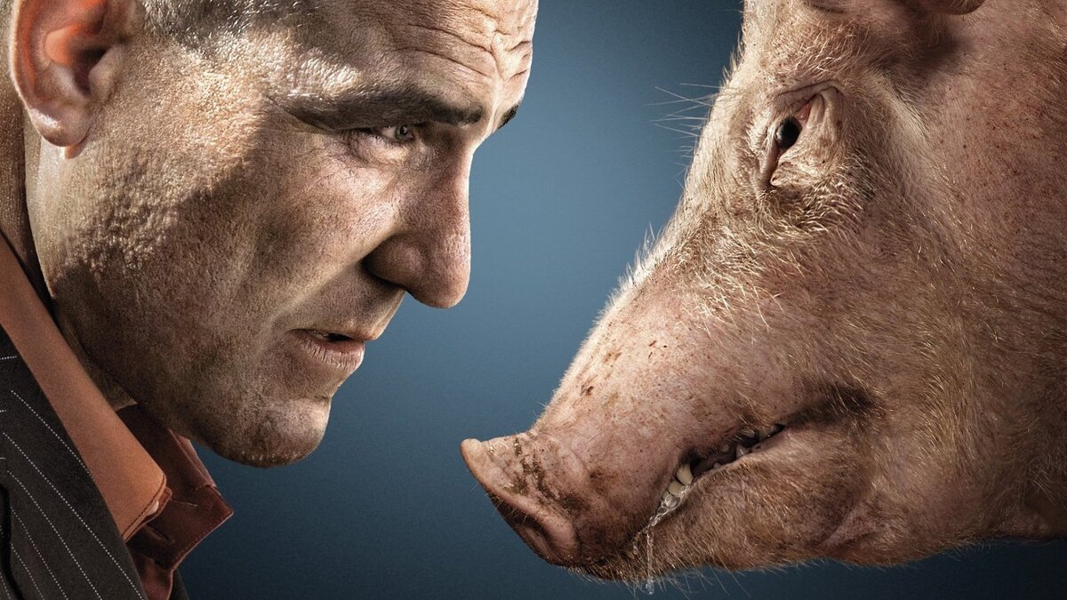 изображение взято из открытых источников.