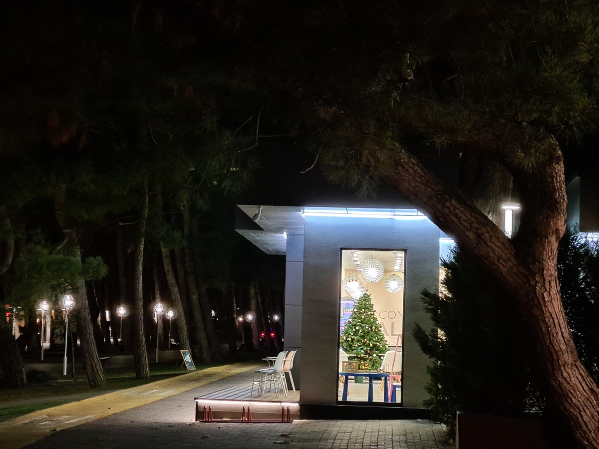 Елочка за окном