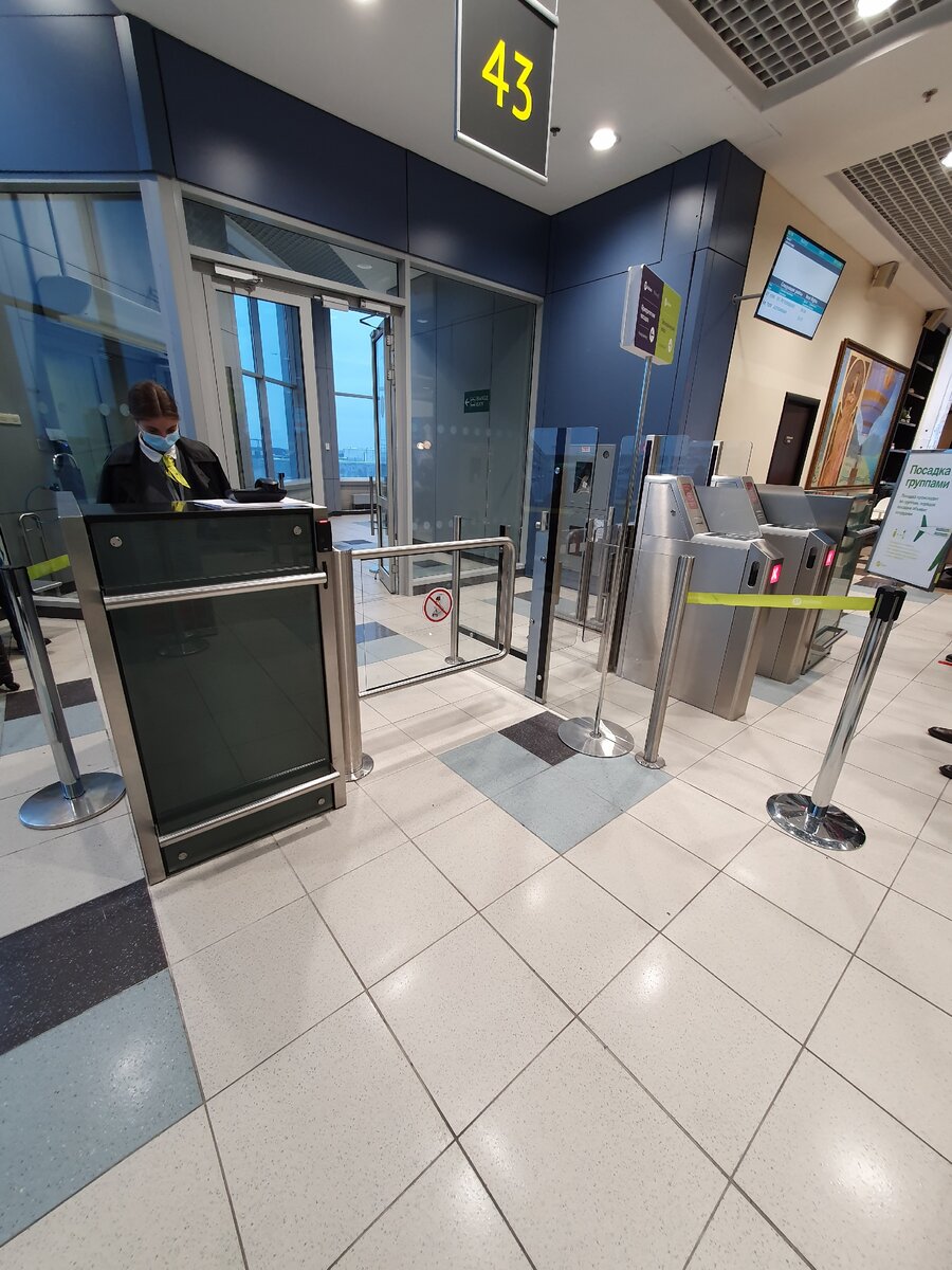 S7 Airlines Москва-Санкт-Петербург, ноябрь 2020 г.