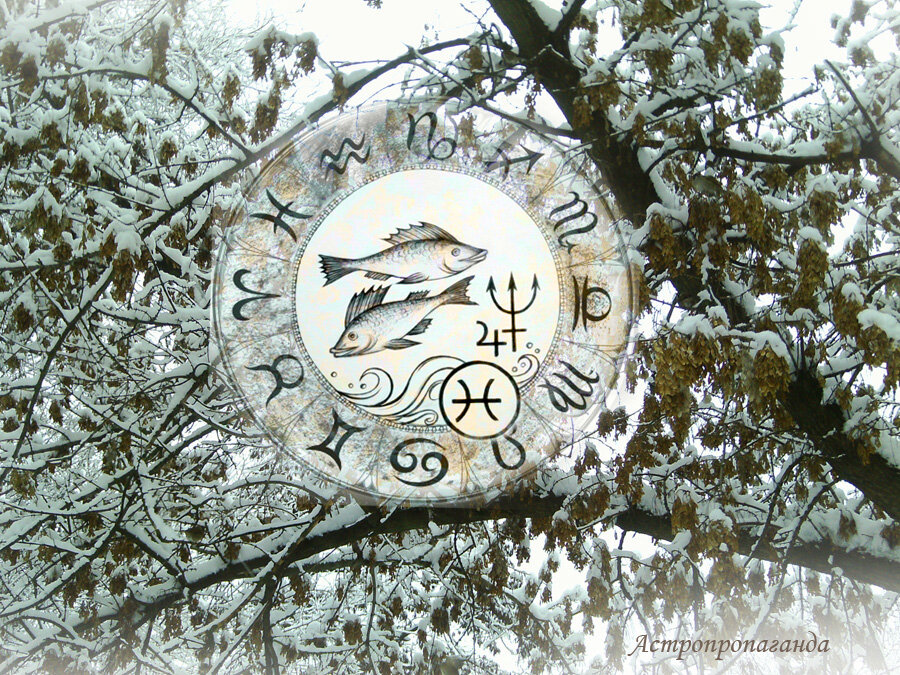 Коллаж Нины Стрелковой.