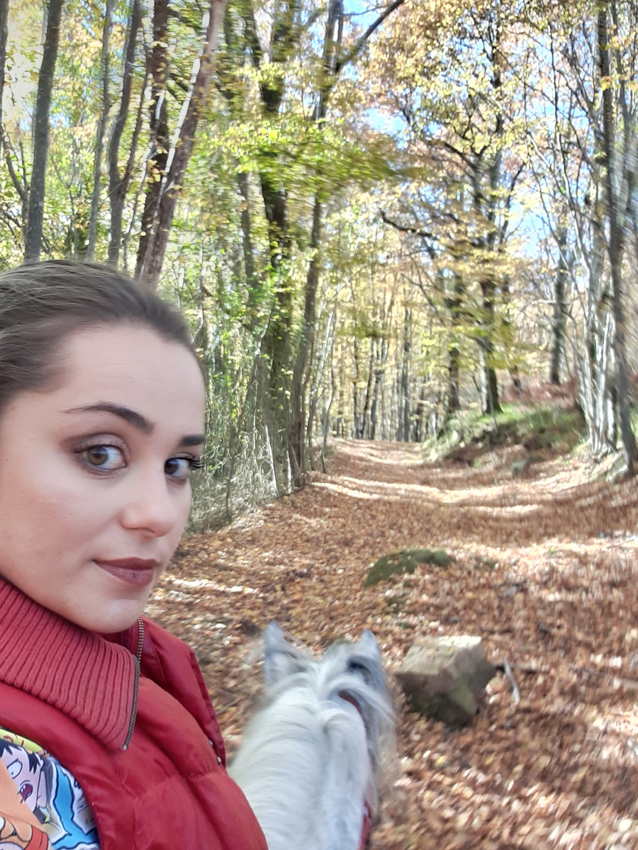 Чем еще заняться на лошади, как не делать селфи?