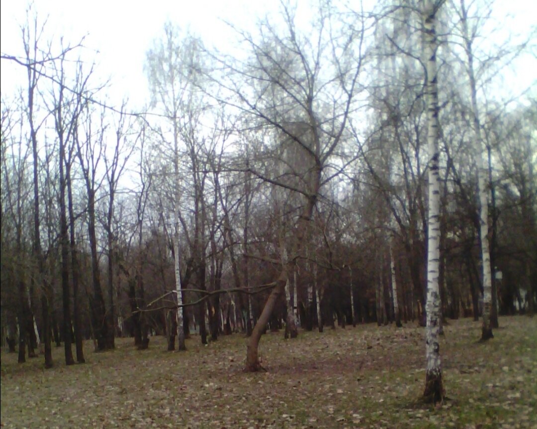 Грачевский пруд, усадьба Михалково.