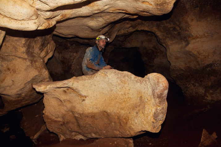 Фото: https://www.rgo.ru/