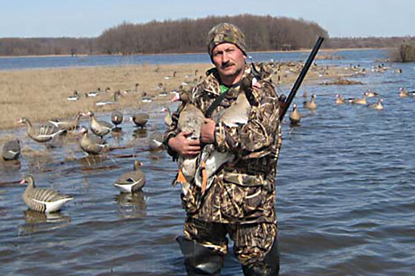 С подсадными гусями