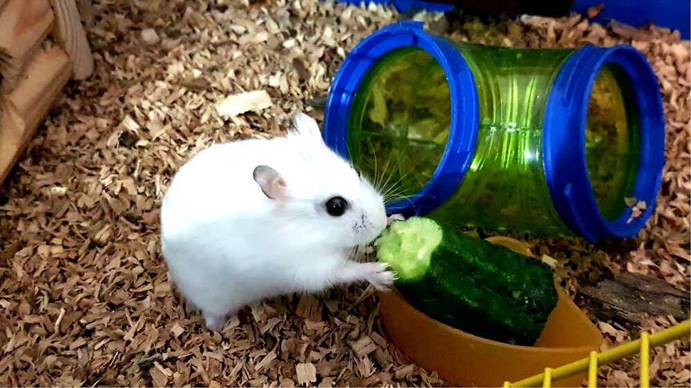 Фото взято из общего доступа