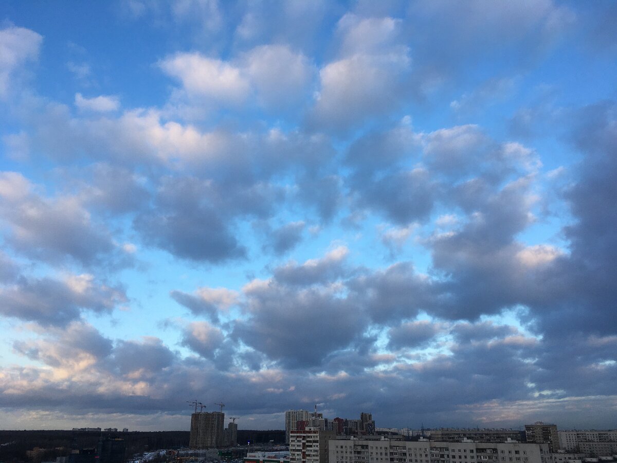 Фото автора.