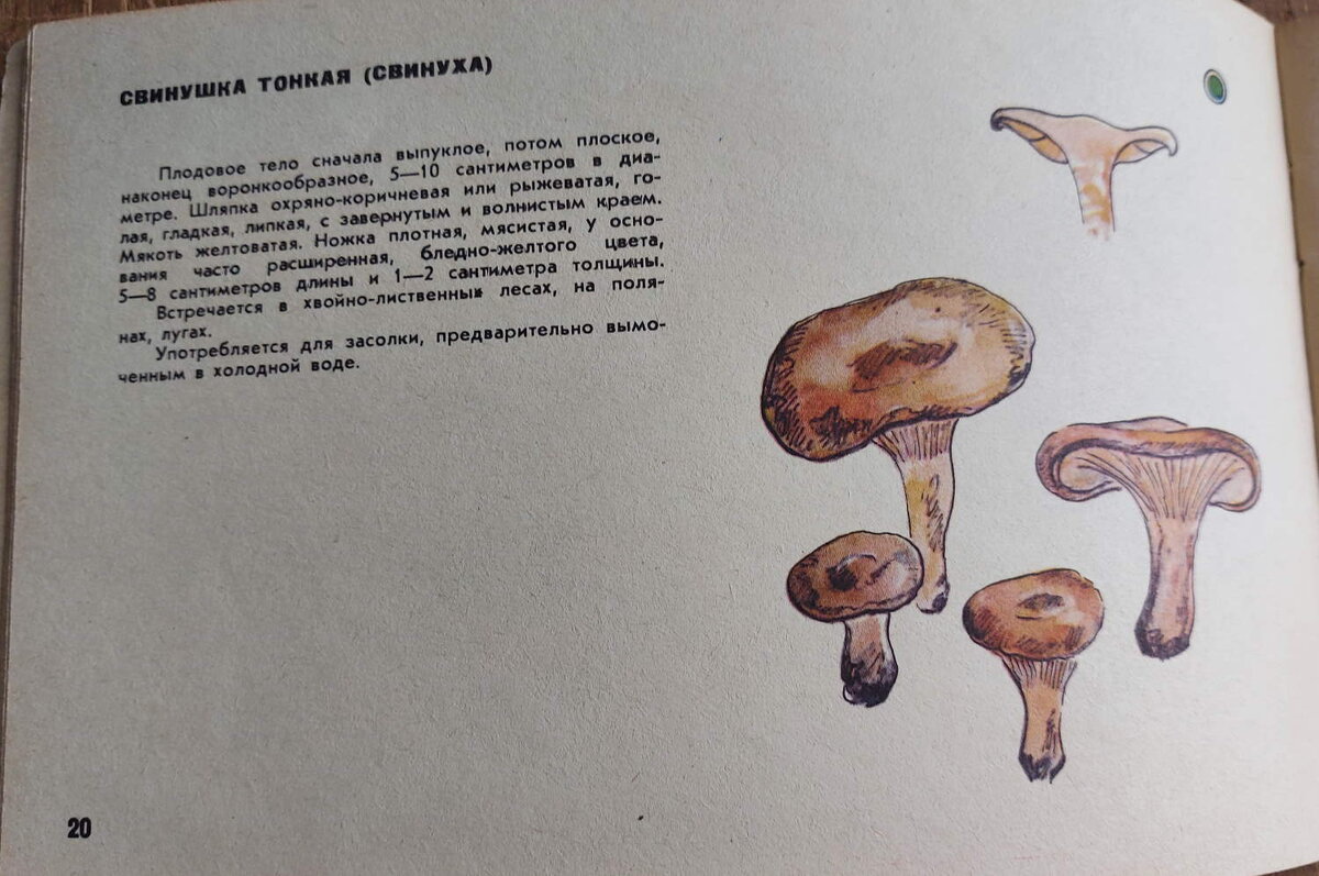 страничка из книги