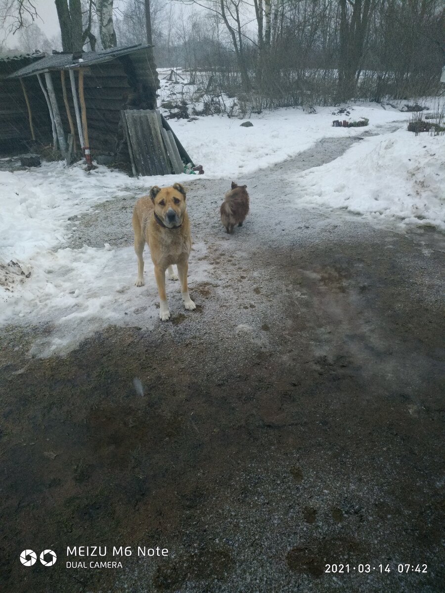 Вот и начал таять снег,Джим к гам совершил набег...
