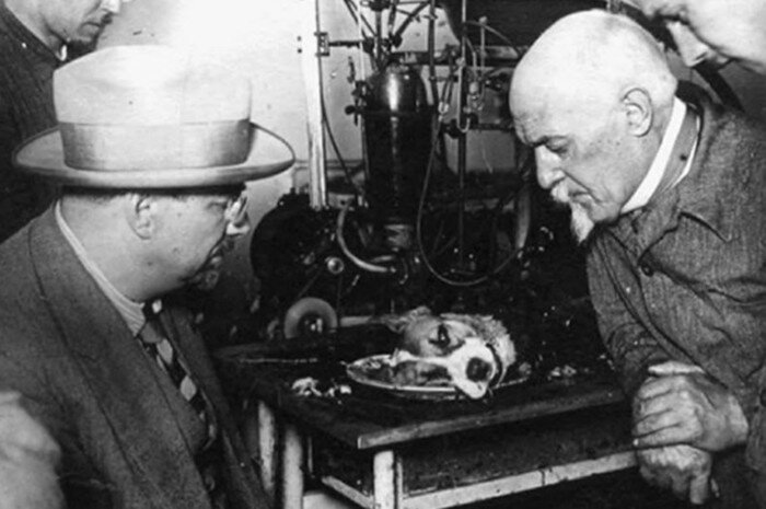 Алексей Кулябко