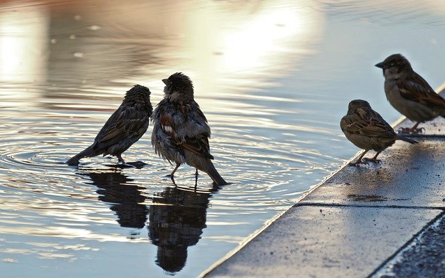 Фото из интернета