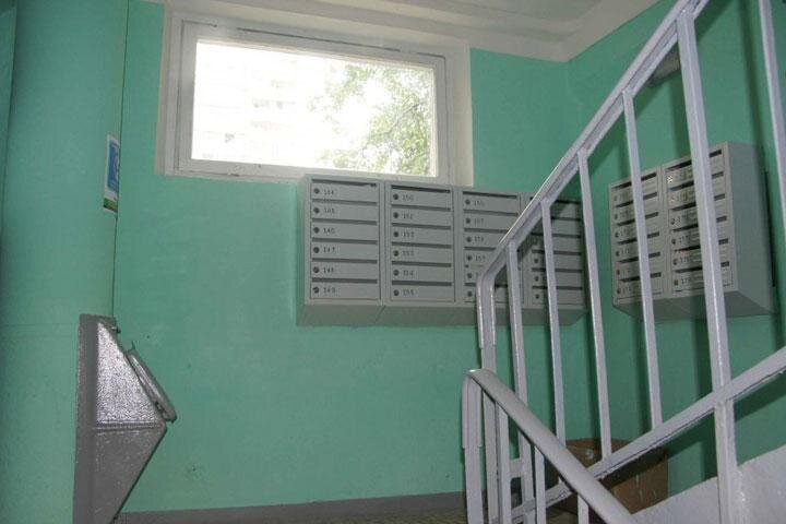 Фото: люберцы.рф 