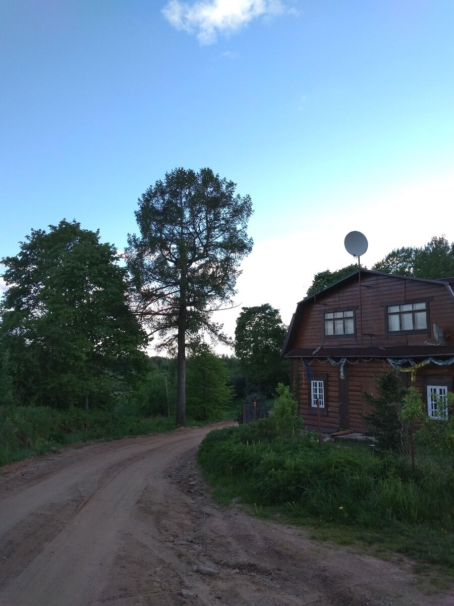 Слуды на Плюссе в Псковской области | татьяна виноградова | Дзен