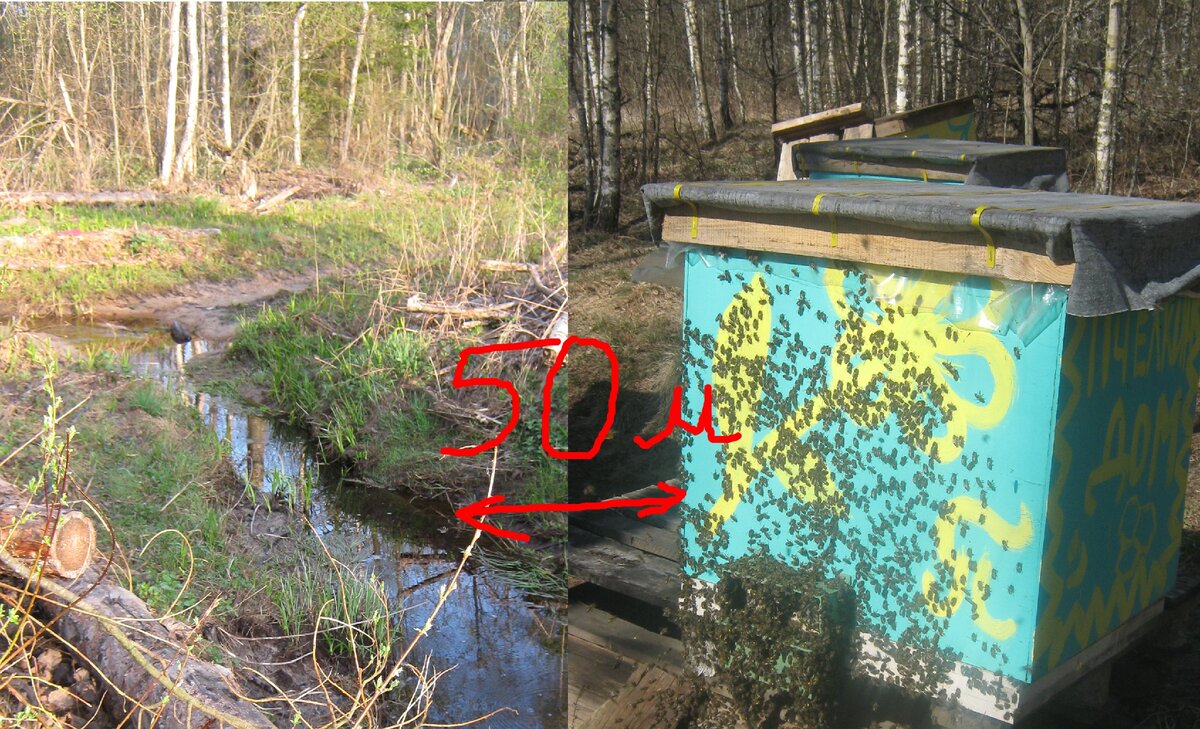 Да, по Водному кодексу ручьи тоже водоохранную зону имеют