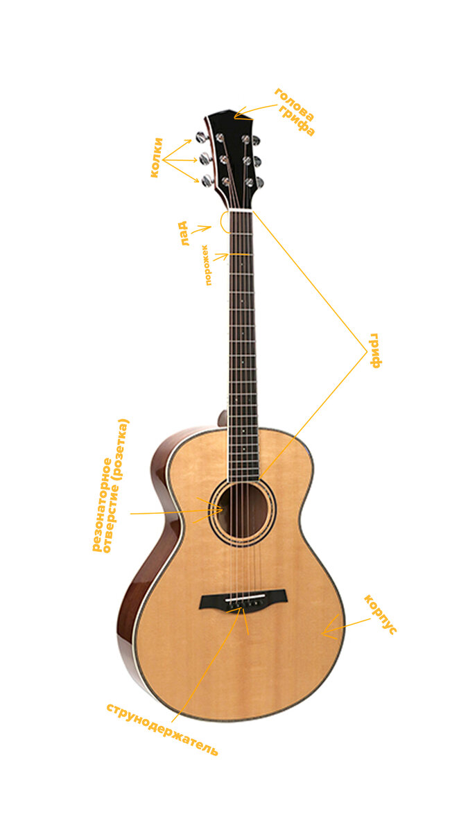 Устройство гитары
