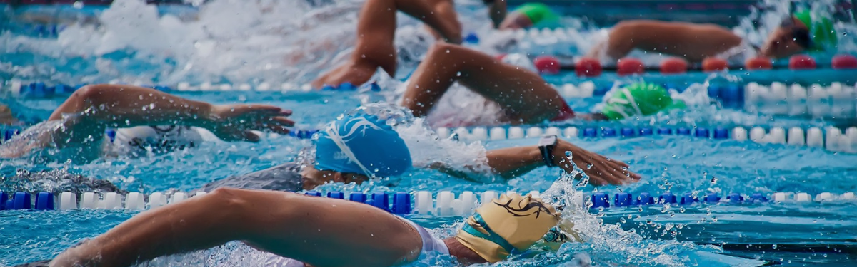 Фото взято из открытого источника