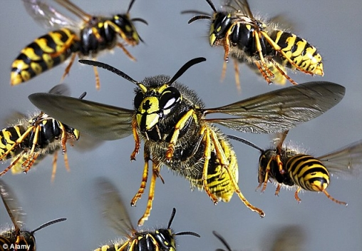 фото из сети