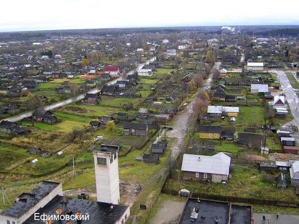 Поселок ефимовский ленинградская область