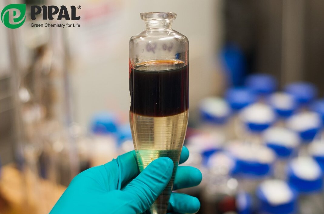 #мойвыборpipal 