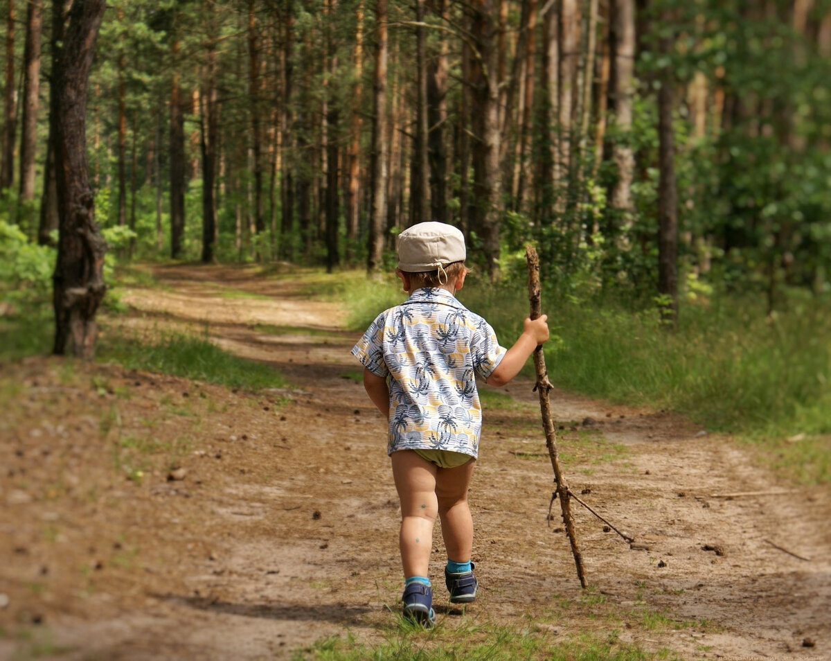 Мальчишки гуляют. Мальчик в лесу. Дети идут по тропинке в лесу. Мальчик гуляет в лесу. Мальчик идет в лес.
