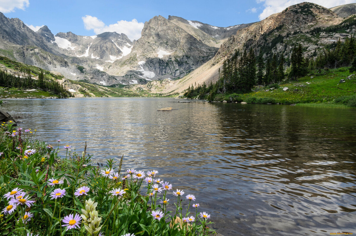 Фото взято из интернета