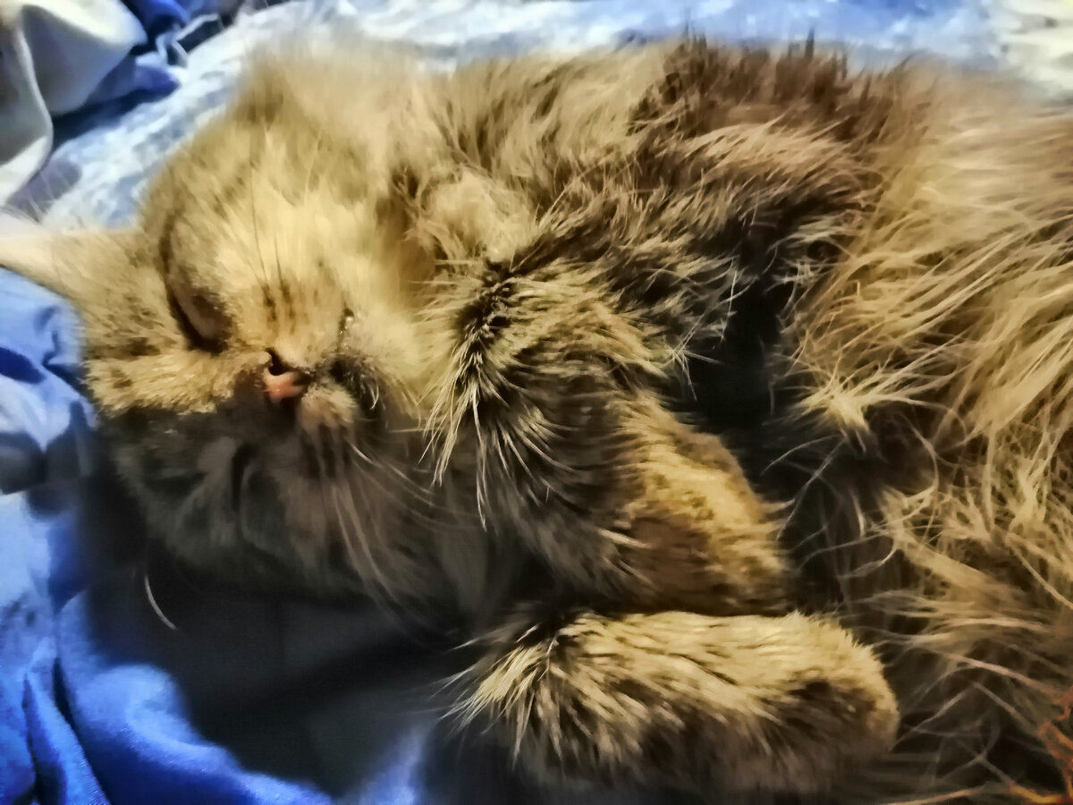 После икры хорошо спится.