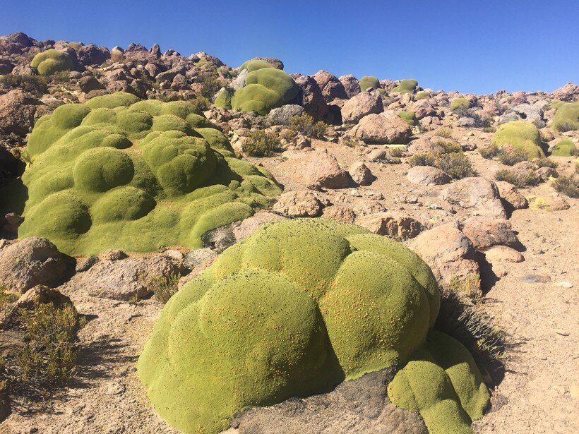 Источник фото: травеласк