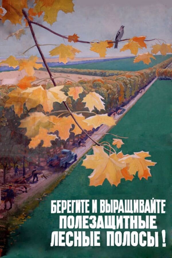 Охрана природы в ссср. Советские плакаты про природу. Советские плакаты про экологию. Советские плакаты береги природу. Советские плакаты о защите природы.