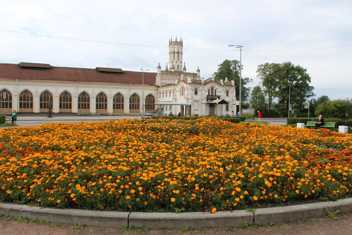 Новый петергоф лебяжье. Новый петергоф лебяжье. Жд станция новый петергоф зимой. Фото красоты место. Екатерининский парк царское село.