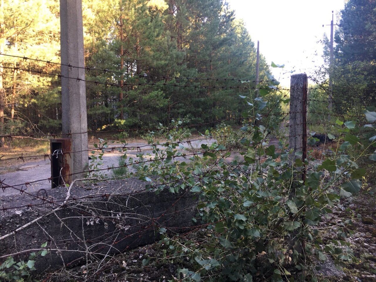 Чернобыльская зона