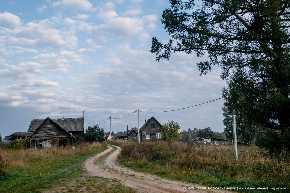 Регулярно приезжаю в Тверскую область. Рассказываю, как изменились деревни  за 10 лет | Путешествия с фотокамерой | Дзен