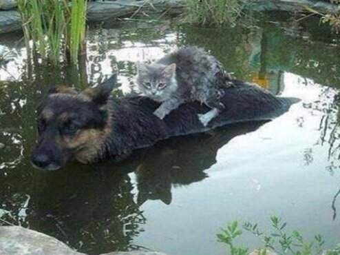 Источник. https://www.instagram.com/p/CD6D2ejJZHh/?utm_medium=copy_link