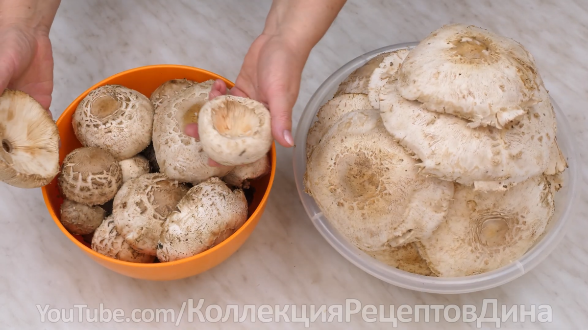 🍁🍄Грибная икра с луком, морковью, чесноком и помидорами🍁 Универсальная  заготовка из грибов на зиму🍄 | Дина, Коллекция Рецептов | Дзен