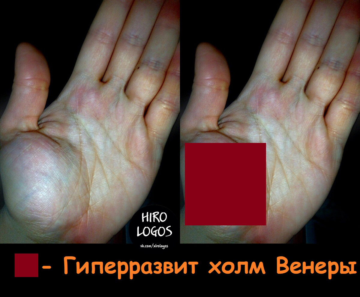 Доминирующий холм Венеры на ладони.