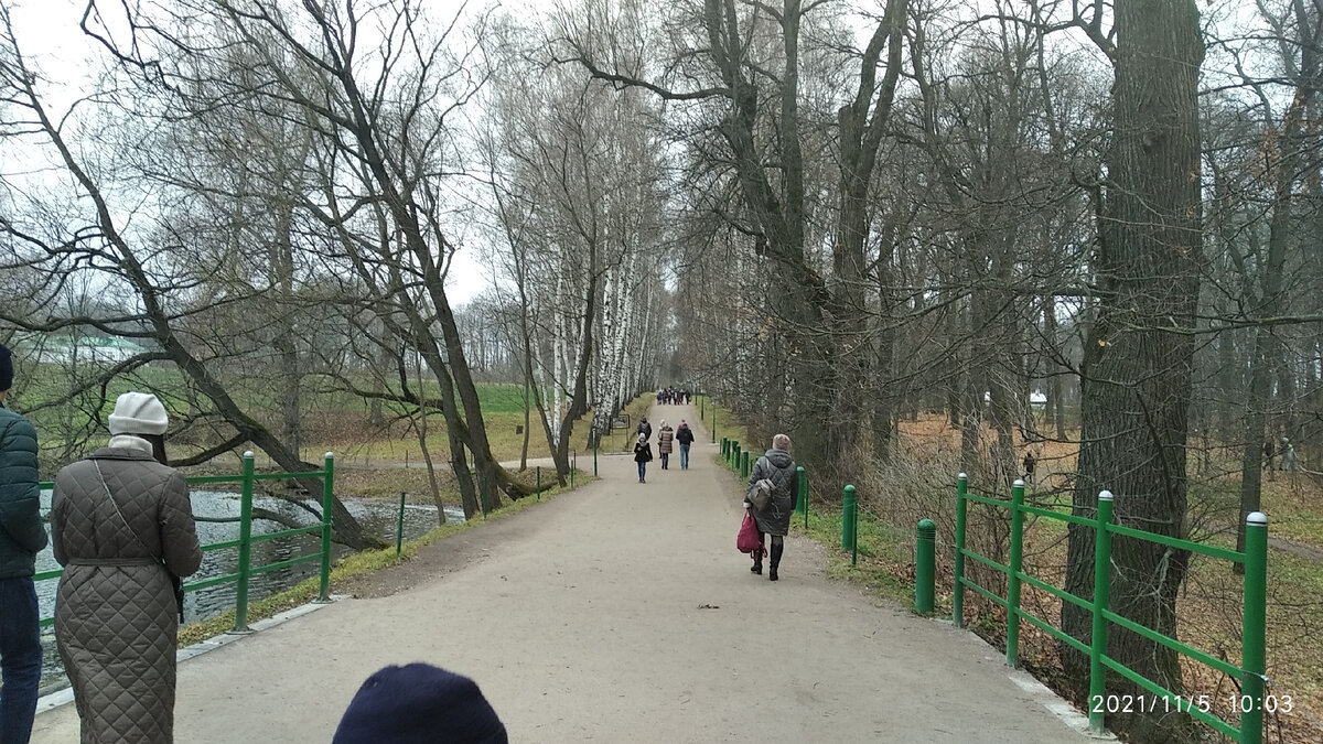 Прешпект. Так со времён деда Толстого именуется центральная аллея усадьбы.