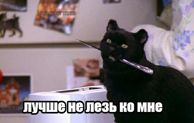 Говорящий черный кот Салем из сериала «Сабрина — маленькая ведьма» не даст себя в обиду
