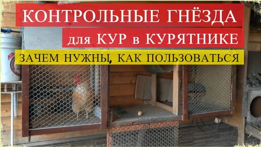 Как изготовить куриные гнезда своими руками?