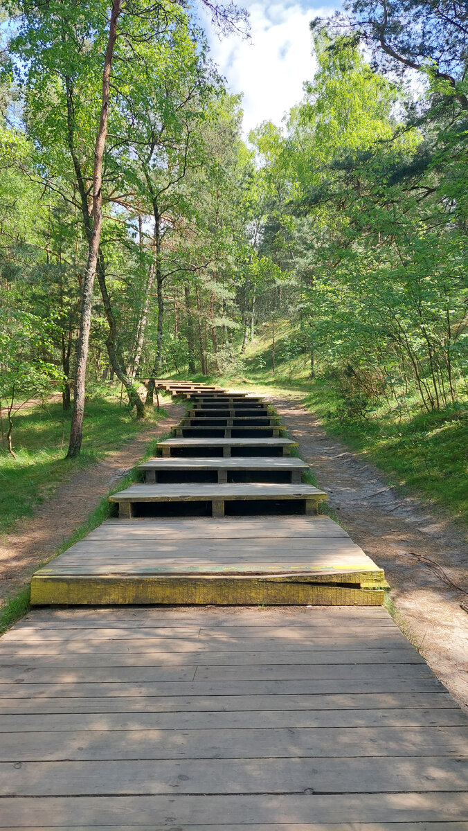 Ступеньки и альтернативный путь (но лучше ходить только по проложенным дорожкам)