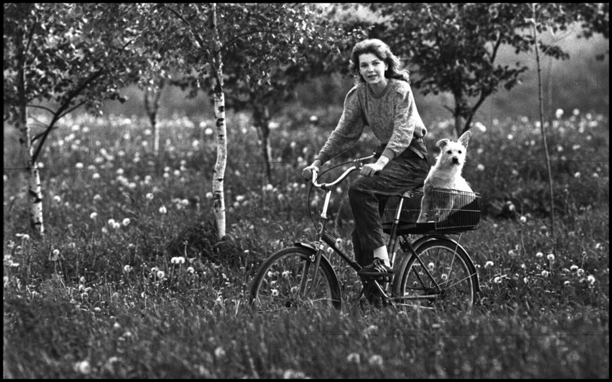 Владимир Богданов