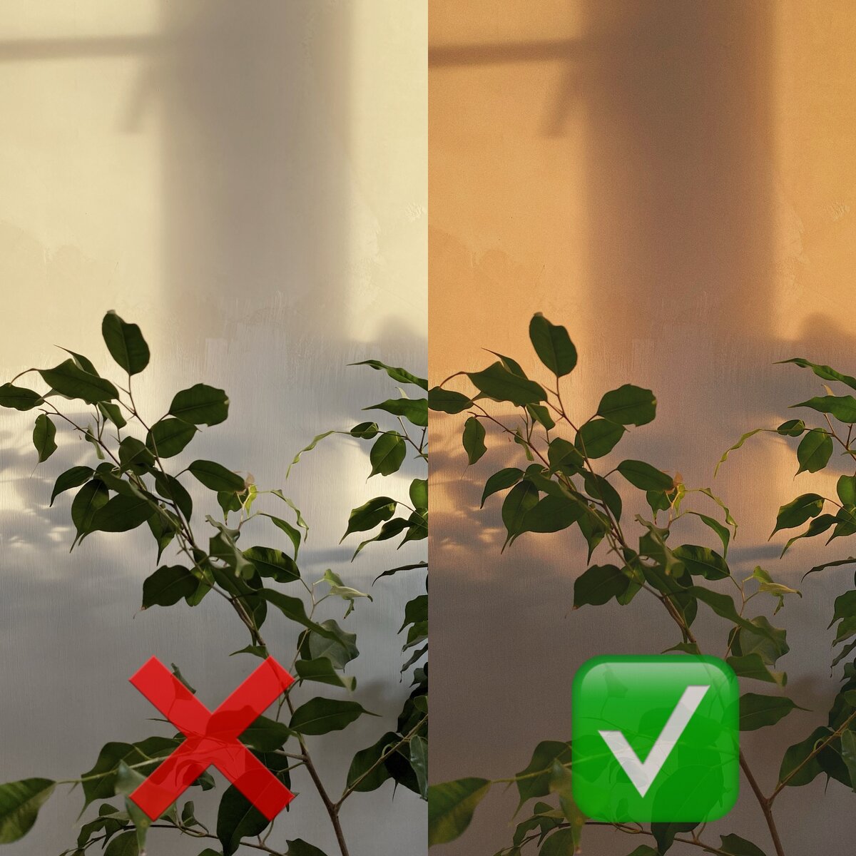 Пример обработки фото