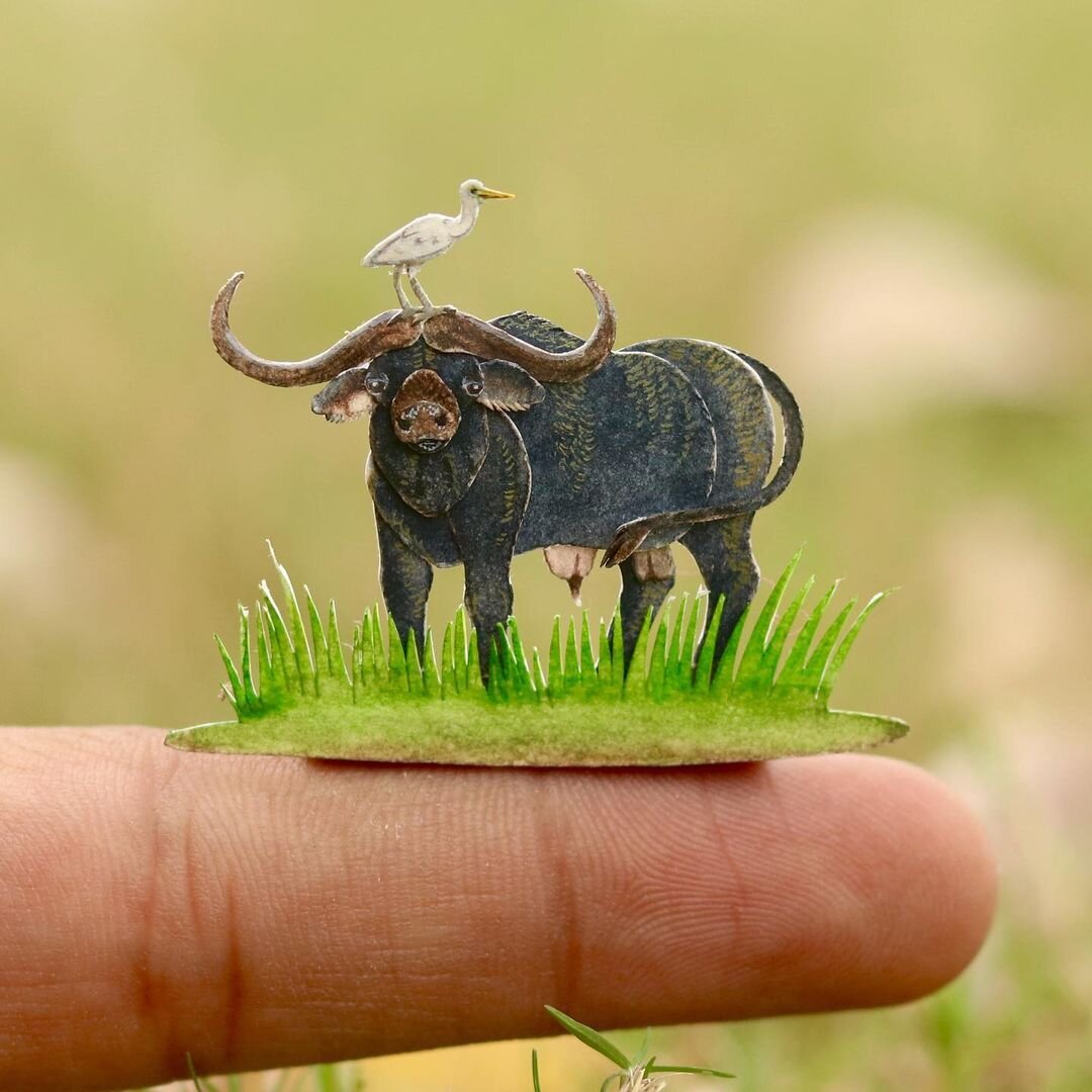 Фото: © instagram.com/nvillustration   