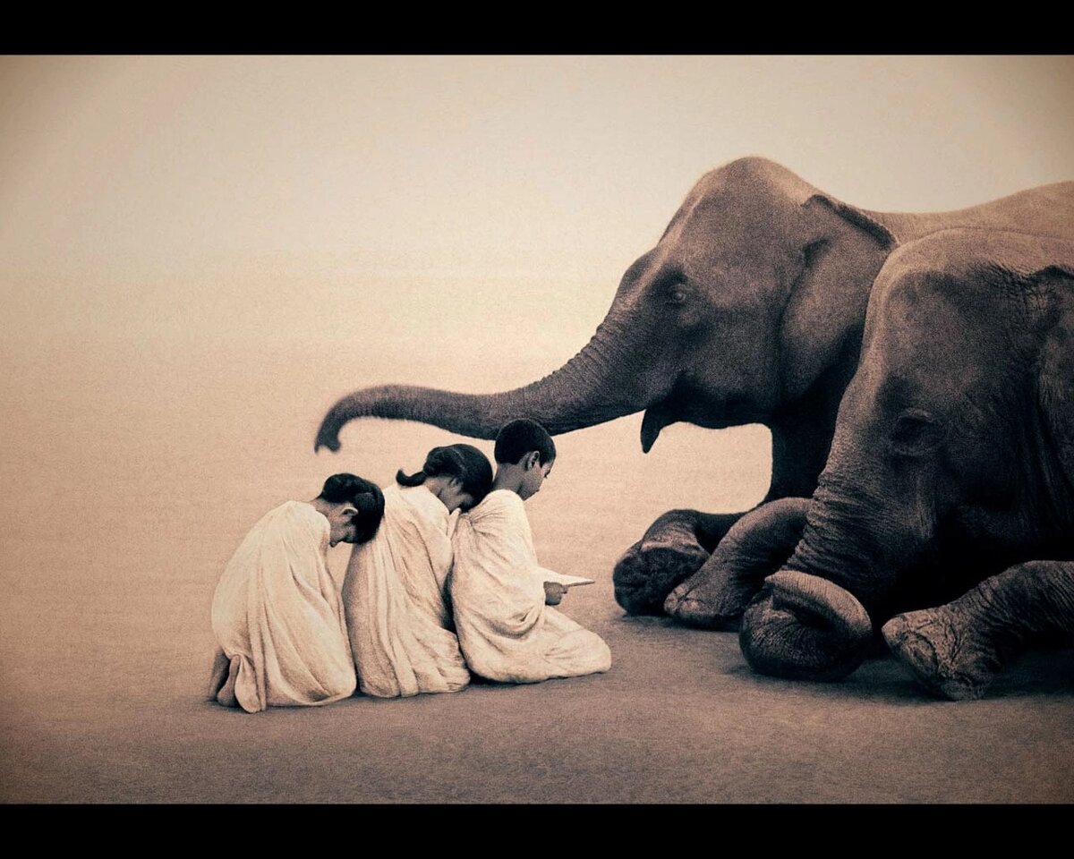 Грегори Кольберт