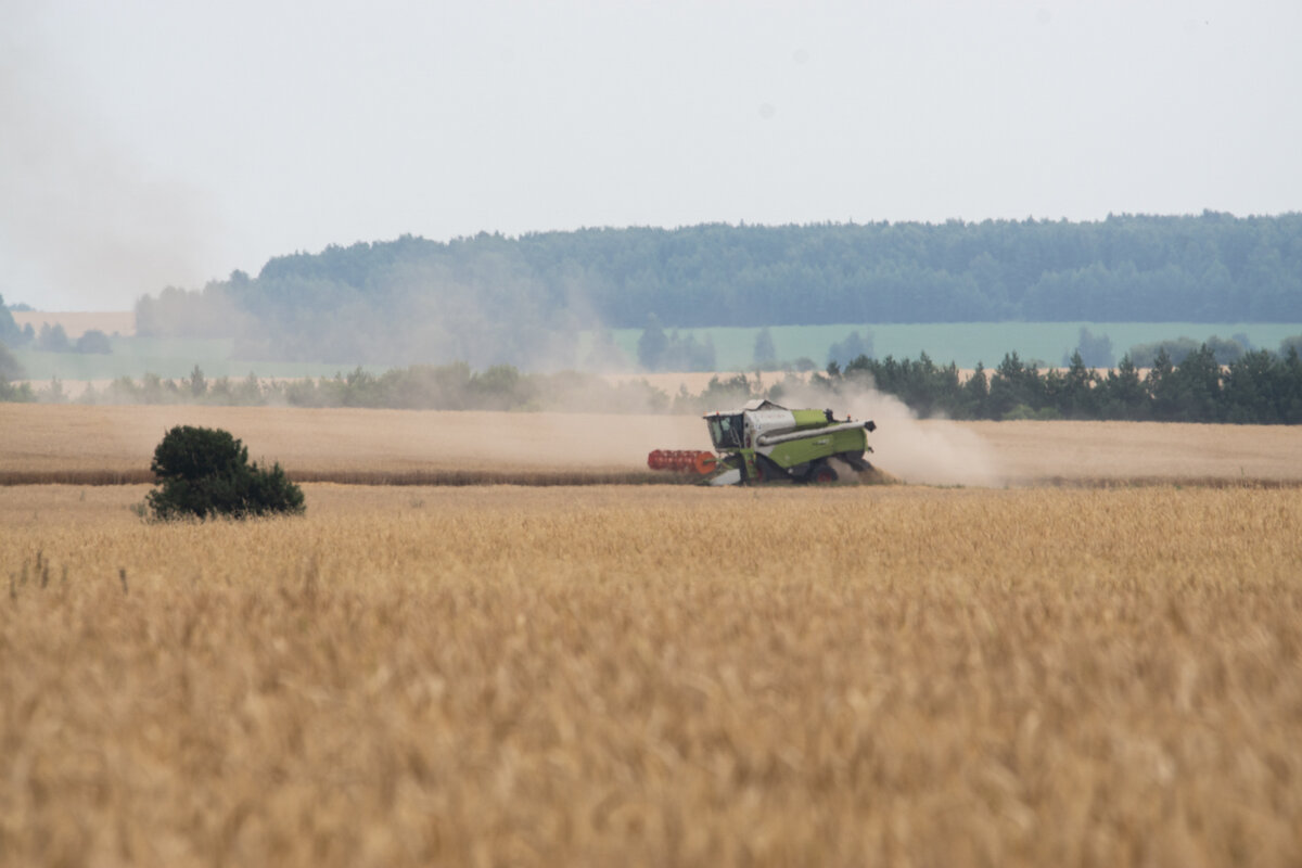 Уборочная кампания 2021