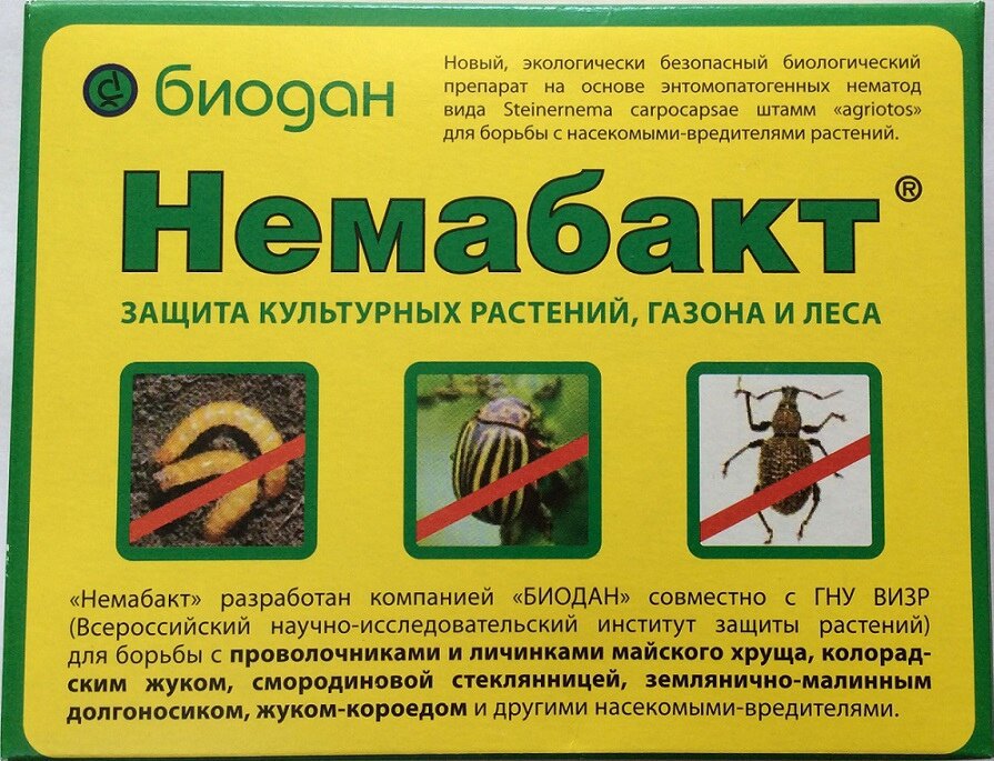 Научный проект защита овощных культур от нематод