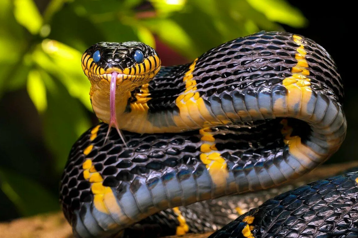 фото взято из открытых источников