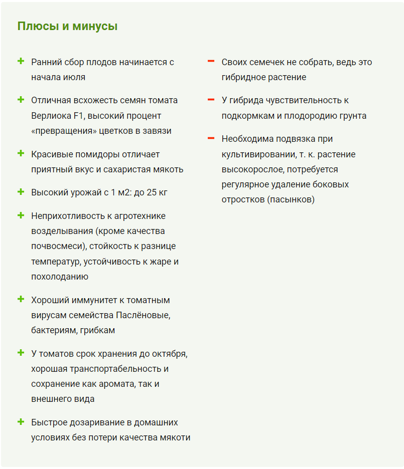 Акт обследования жилищно-бытовых условий семьи – бланк и образец 2023 года