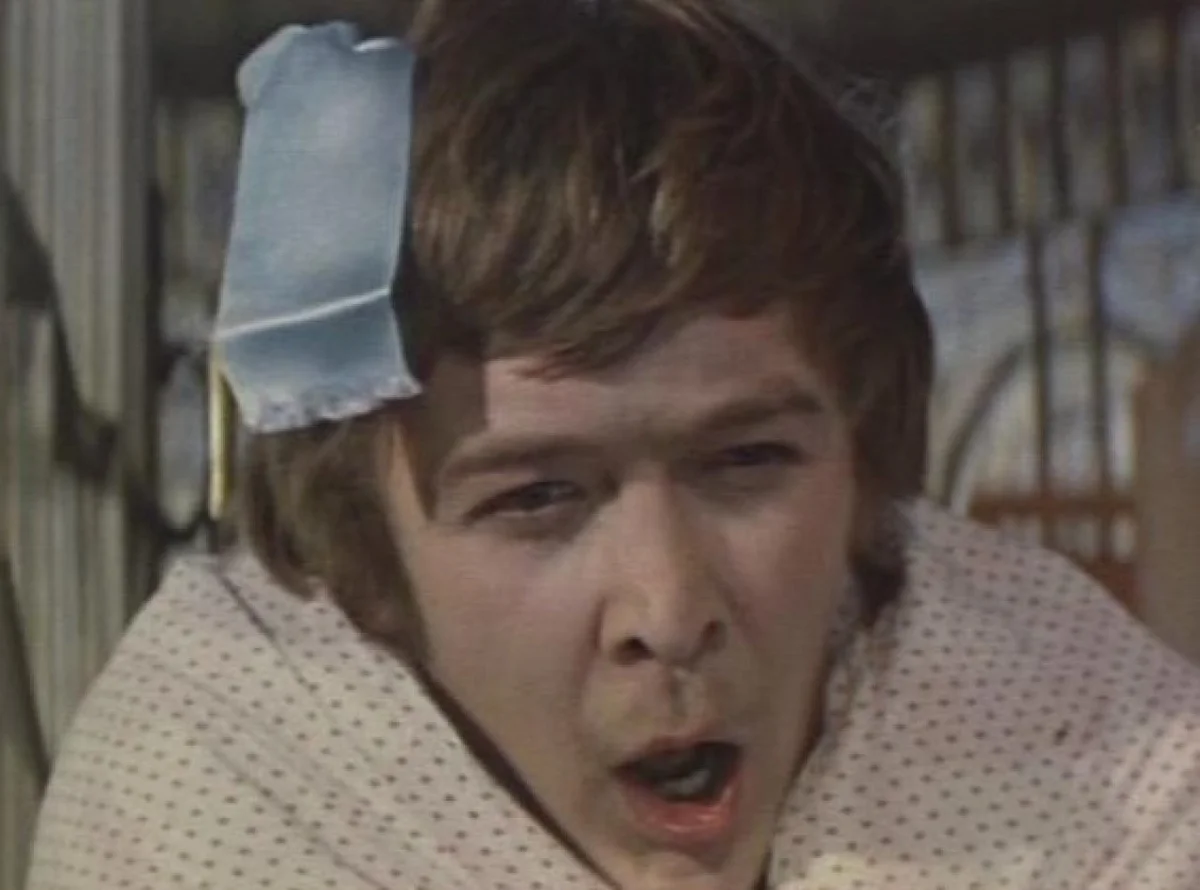 Домашний канал бородатый нянь. Усатый нянь (1977).