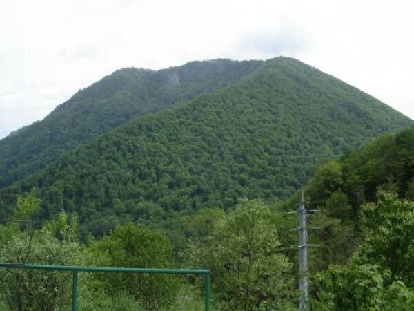 Источник фото: wikimedia